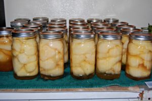 canned pears