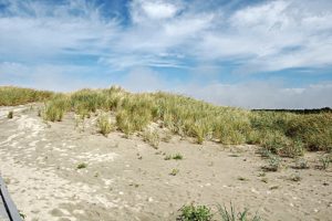 south beach state park newport, Oregon dunes.